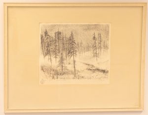 Palo Unto: Talvinen metsä